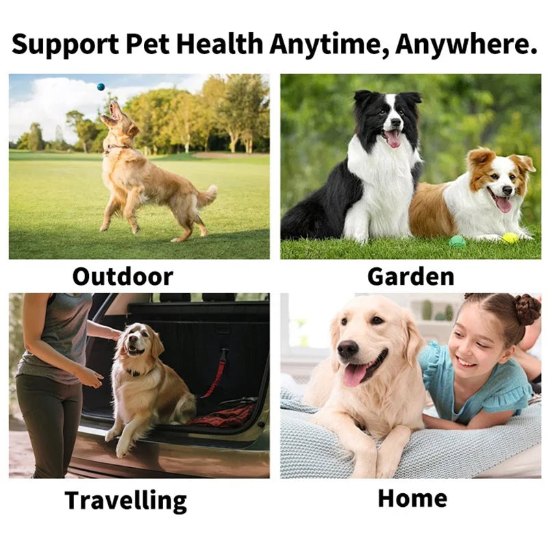 Disposable Pet Finger Toothbrushes